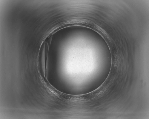 X0000072530786200607290223