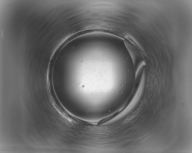 X0000072530788200607290223