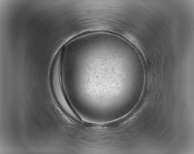 X0000072530789200607290223