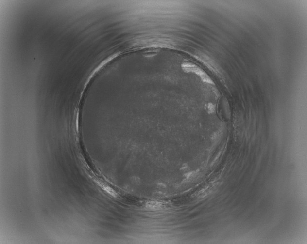 X0000072530790200607290223