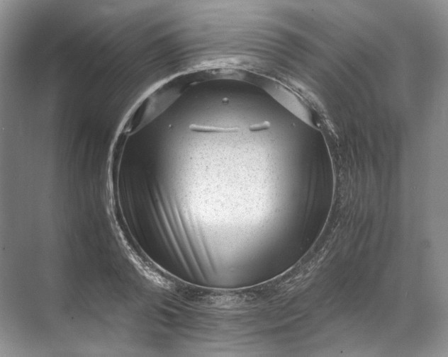 X0000072530792200607290223