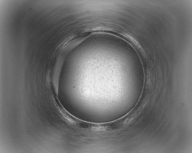 X0000072530793200607290223