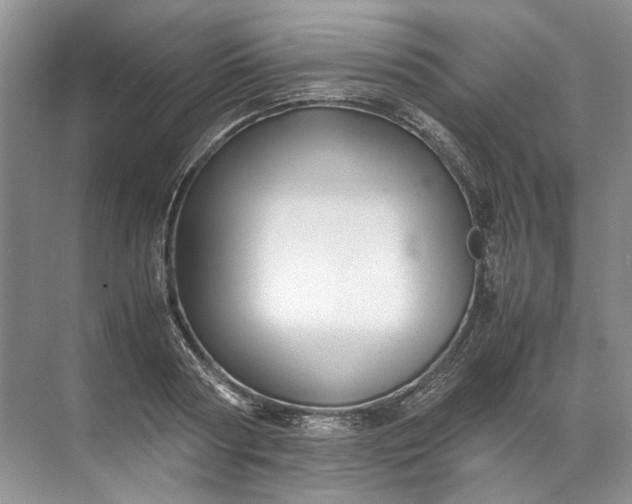 X0000072530794200607290223