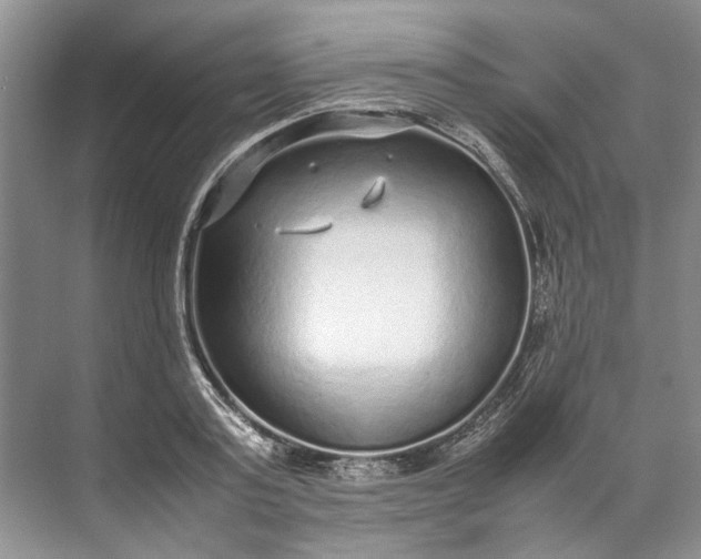 X0000072530795200607290223