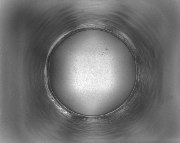 X0000072530796200607290223