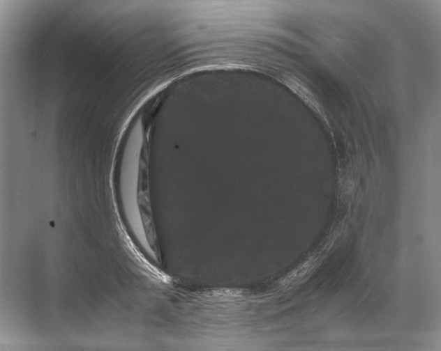 X0000072530797200607290223