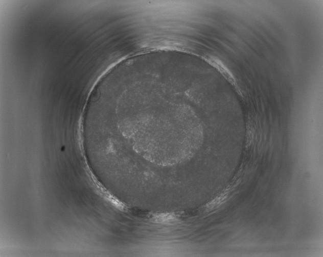 X0000072530798200607290223