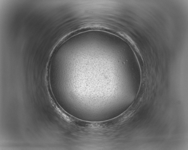 X0000072530799200607290223