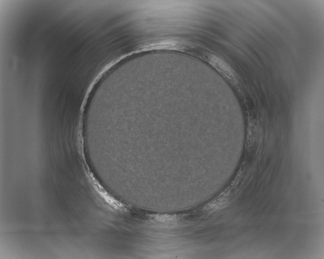 X0000072530800200607290223