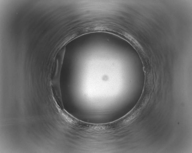 X0000072530801200607290223