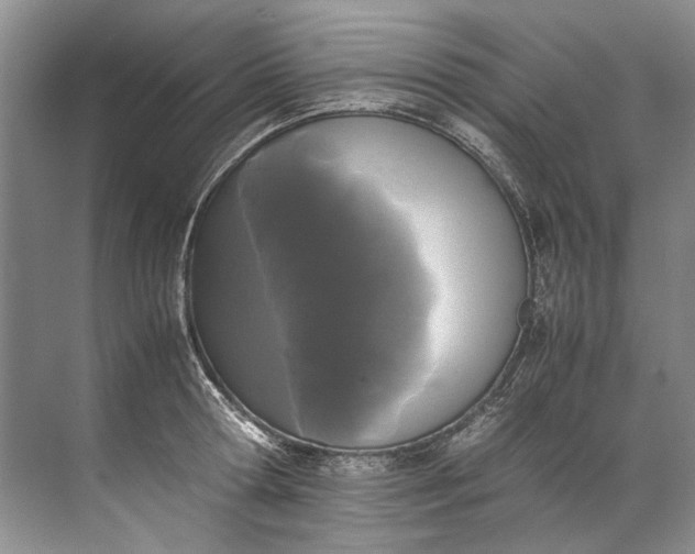 X0000072530802200607290223