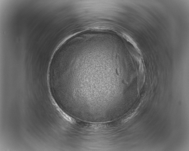 X0000072530803200607290223