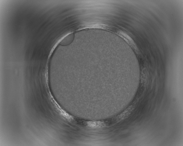 X0000072530804200607290223