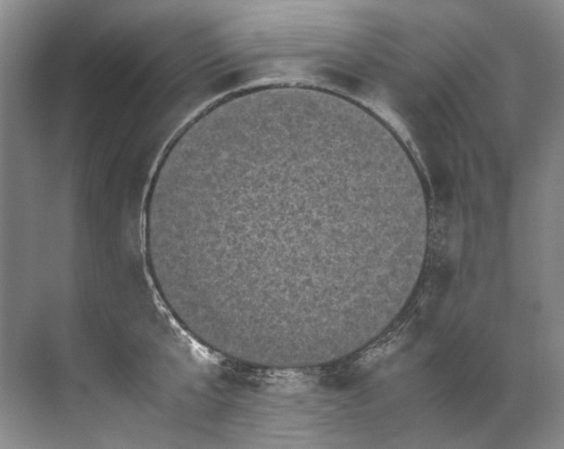 X0000072530807200607290223