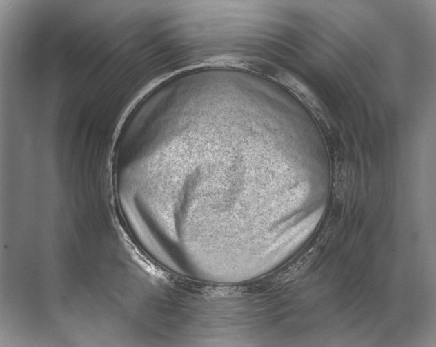 X0000072530808200607290223