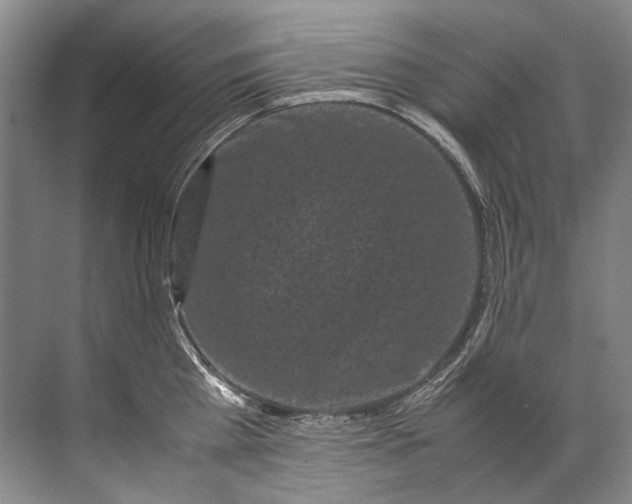 X0000072530809200607290223