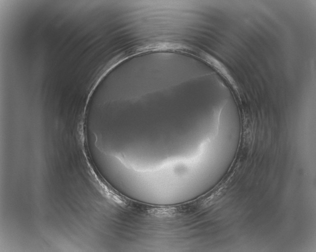 X0000072530810200607290223