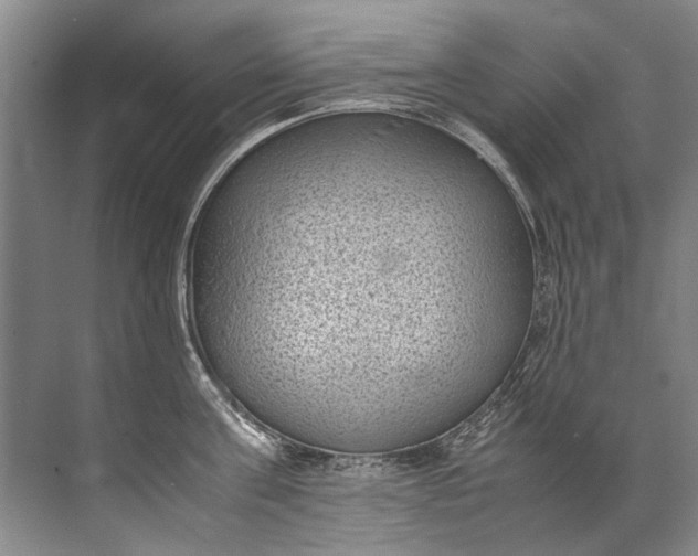 X0000072530811200607290223