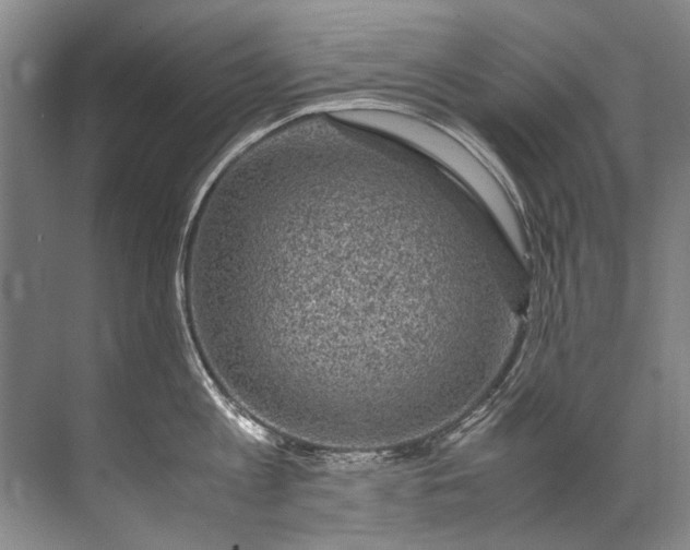 X0000072530813200607290223