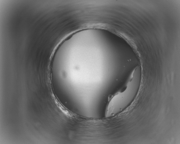 X0000072530816200607290222