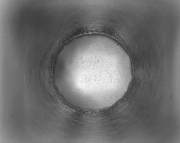 X0000072530817200607290222