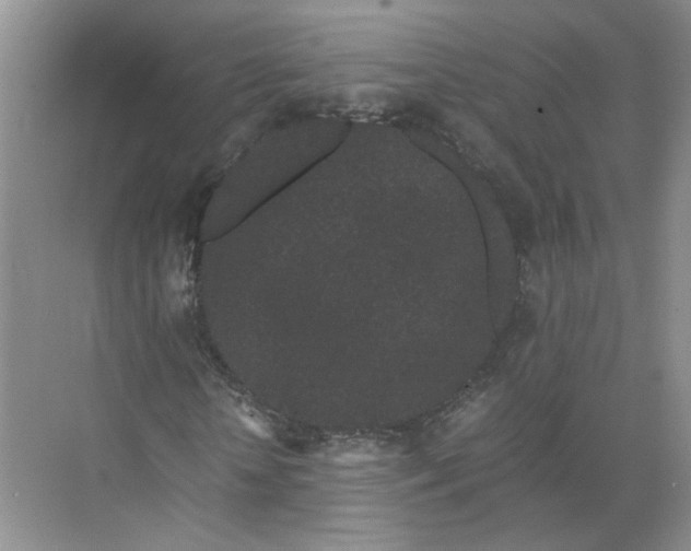 X0000072530818200607290222