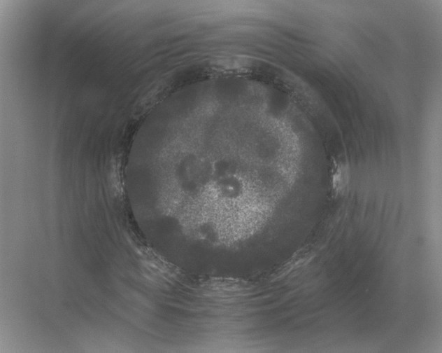 X0000072530819200607290222