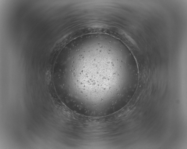 X0000072530821200607290222