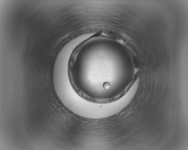 X0000072530822200607290222