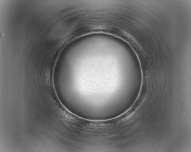 X0000072530825200607290222