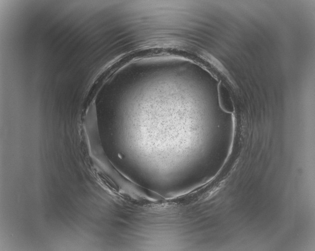 X0000072530826200607290222