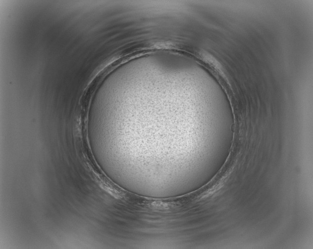 X0000072530827200607290222