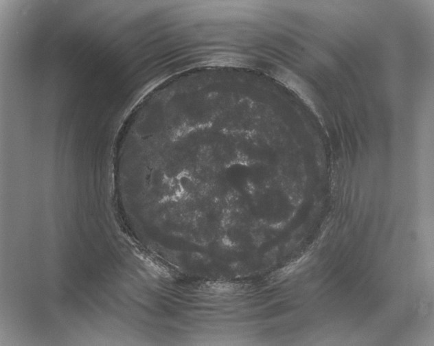 X0000072530829200607290222