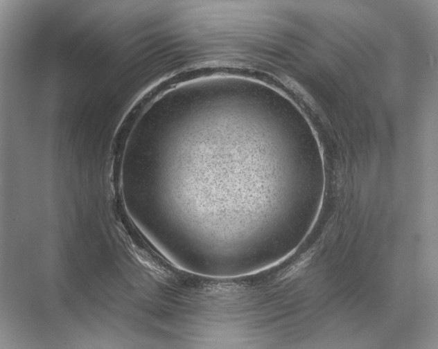 X0000072530830200607290222