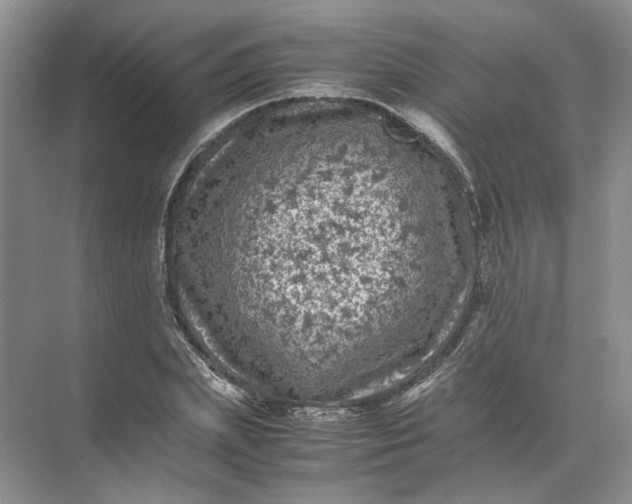 X0000072530831200607290222