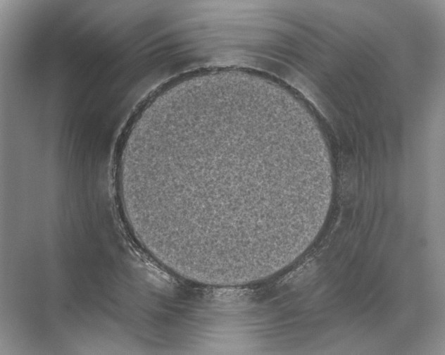 X0000072530832200607290222