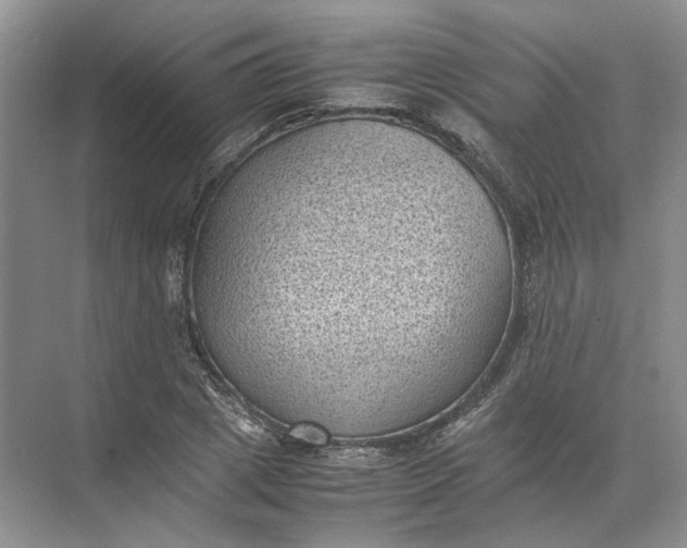 X0000072530833200607290222