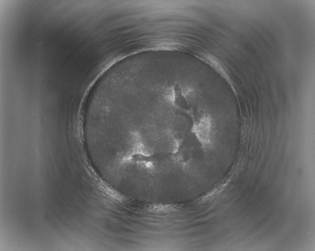 X0000072530835200607290222