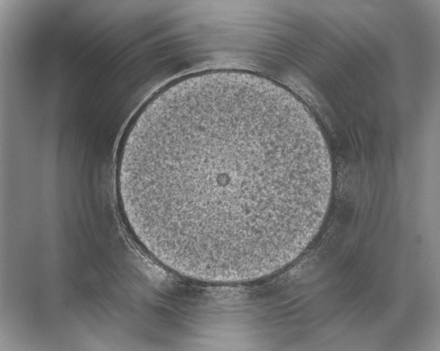 X0000072530836200607290222