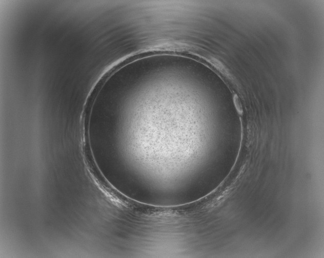 X0000072530838200607290222