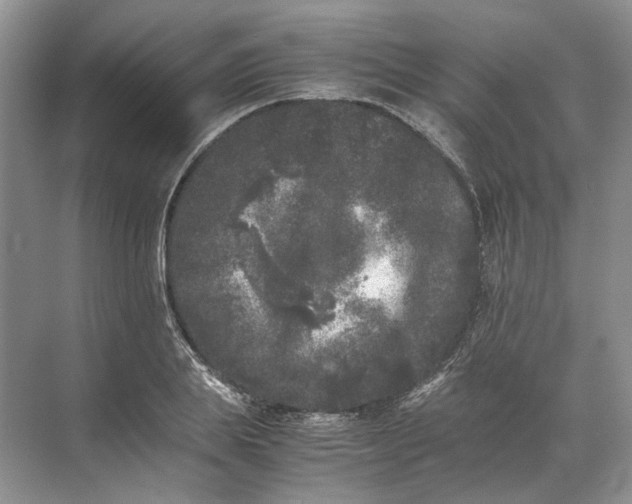 X0000072530839200607290222