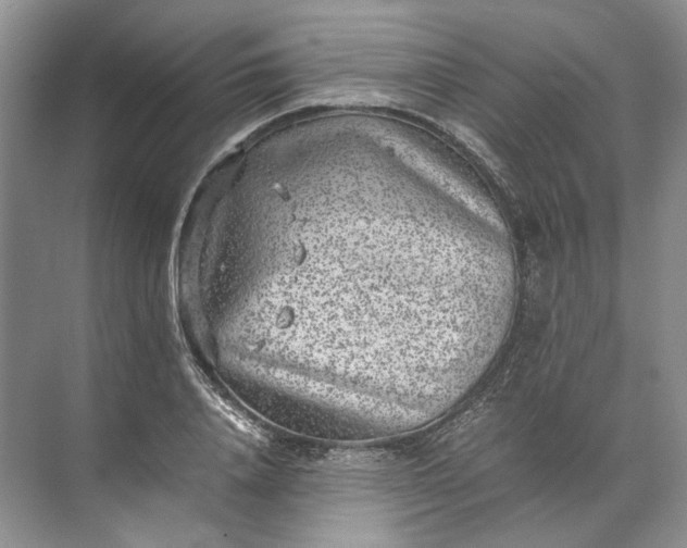 X0000072530840200607290222