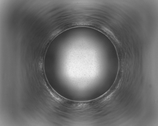 X0000072530841200607290222