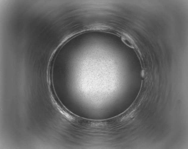 X0000072530843200607290222