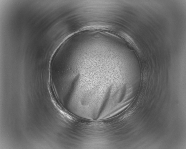 X0000072530844200607290222