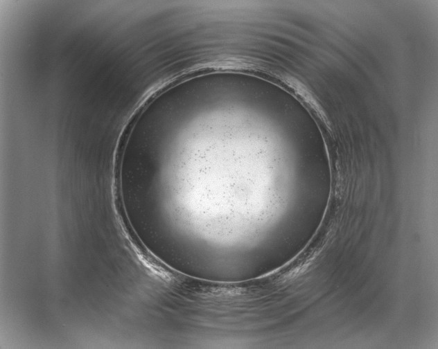 X0000072530845200607290222