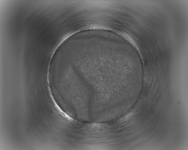 X0000072530847200607290222