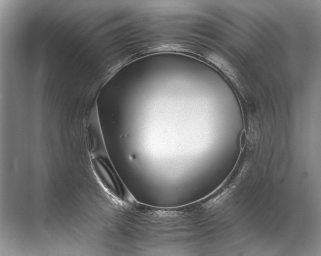 X0000072530849200607290222