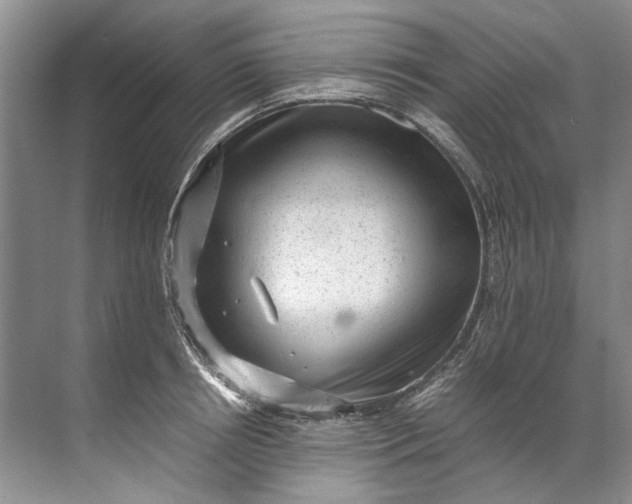 X0000072530850200607290222