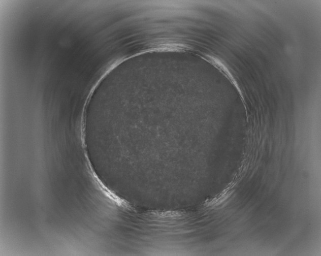 X0000072530851200607290222